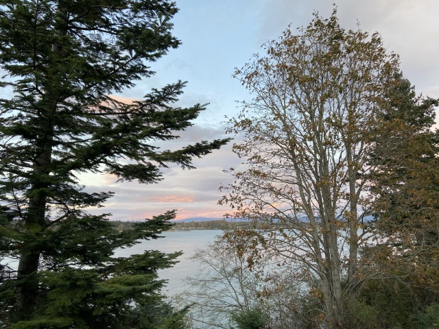 2020/10(October)/Lummi-Island-Kris-Bill-Sager-Washington-State/640x480_2020-10-13-Lummi-Island-WA-14.JPG