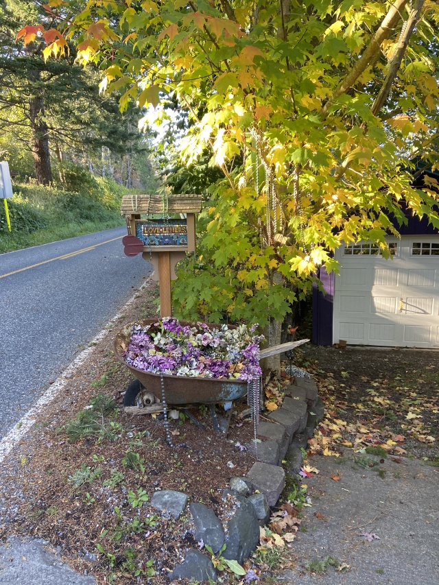 2020/10(October)/Lummi-Island-Kris-Bill-Sager-Washington-State/640x480_2020-10-14-Lummi-Island-WA-11.JPG
