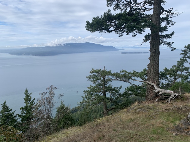 2020-10-15-Lummi-Island-WA-08.JPG
