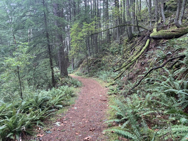 2020/10(October)/Lummi-Island-Kris-Bill-Sager-Washington-State/640x480_2020-10-15-Lummi-Island-WA-11.JPG