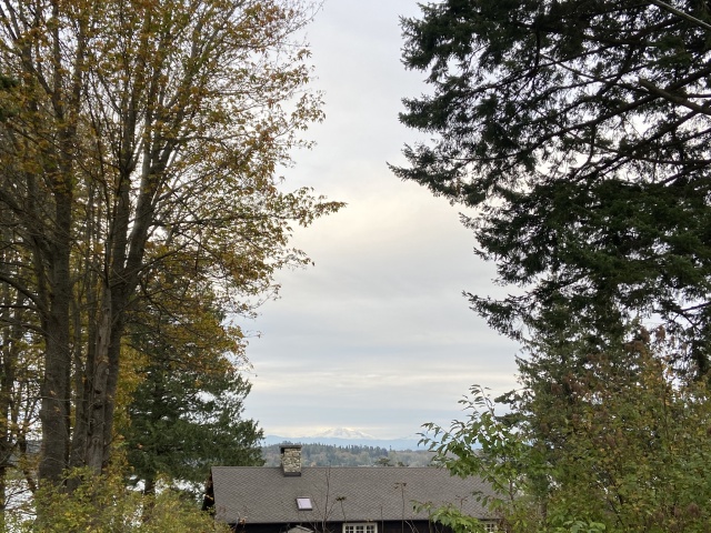 2020/10(October)/Lummi-Island-Kris-Bill-Sager-Washington-State/640x480_2020-10-15-Lummi-Island-WA-17.JPG