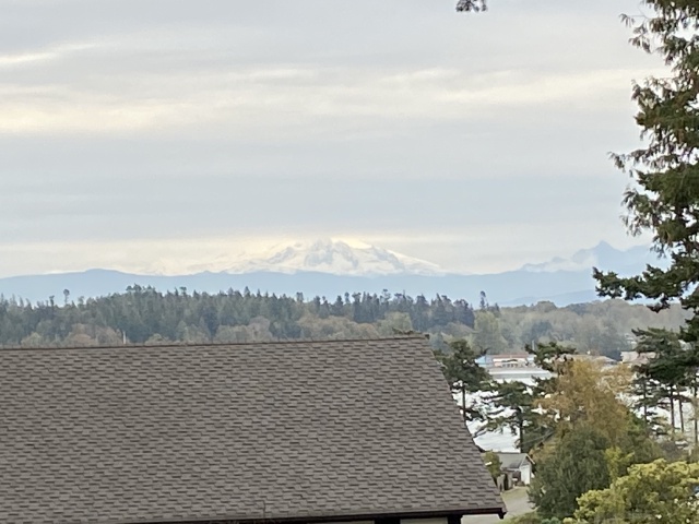 2020/10(October)/Lummi-Island-Kris-Bill-Sager-Washington-State/640x480_2020-10-15-Lummi-Island-WA-19.JPG