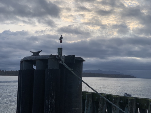 2020/10(October)/Lummi-Island-Kris-Bill-Sager-Washington-State/640x480_2020-10-17-Lummi-Island-WA-13.JPG