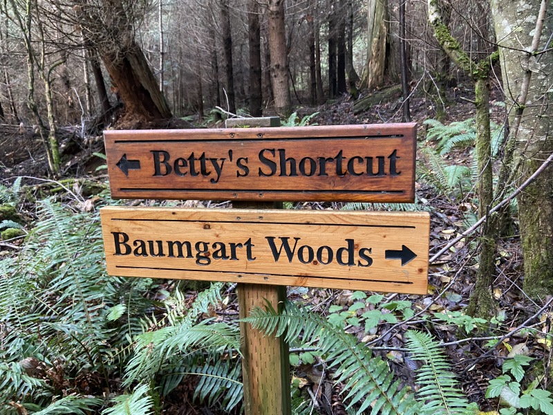 2020-10-10-Lummi-Island-WA-25.JPG