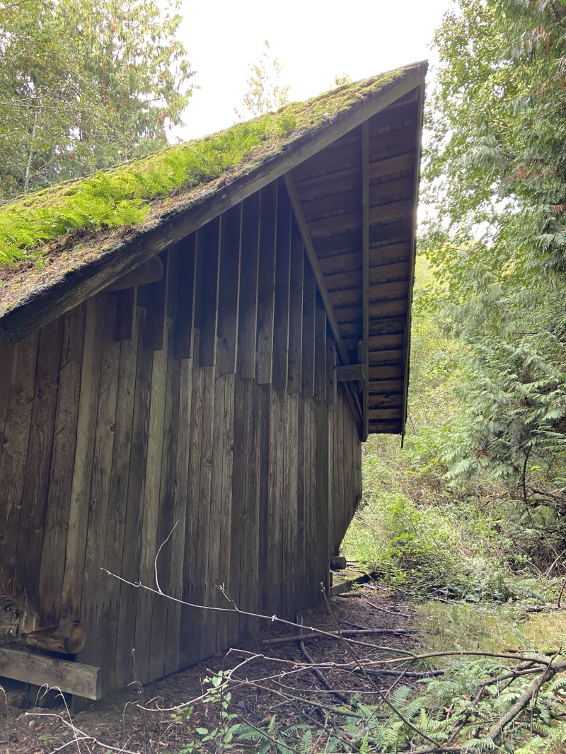 2020-10-10-Lummi-Island-WA-47.JPG
