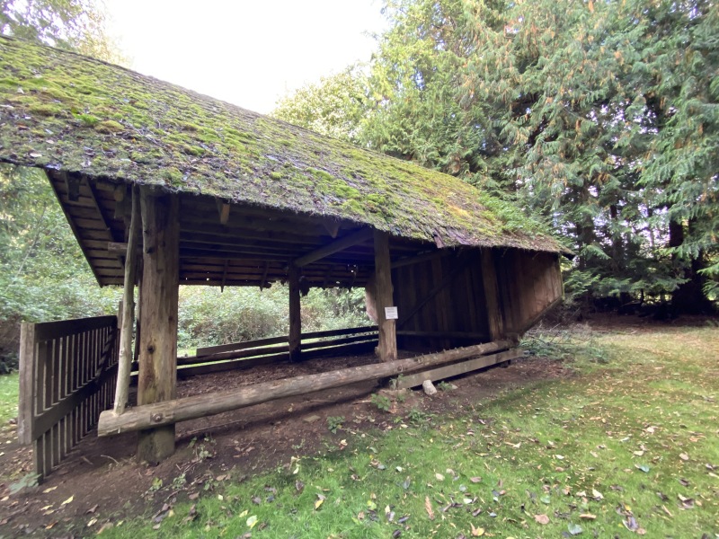 2020/10(October)/Lummi-Island-Kris-Bill-Sager-Washington-State/800x600_2020-10-10-Lummi-Island-WA-48.JPG