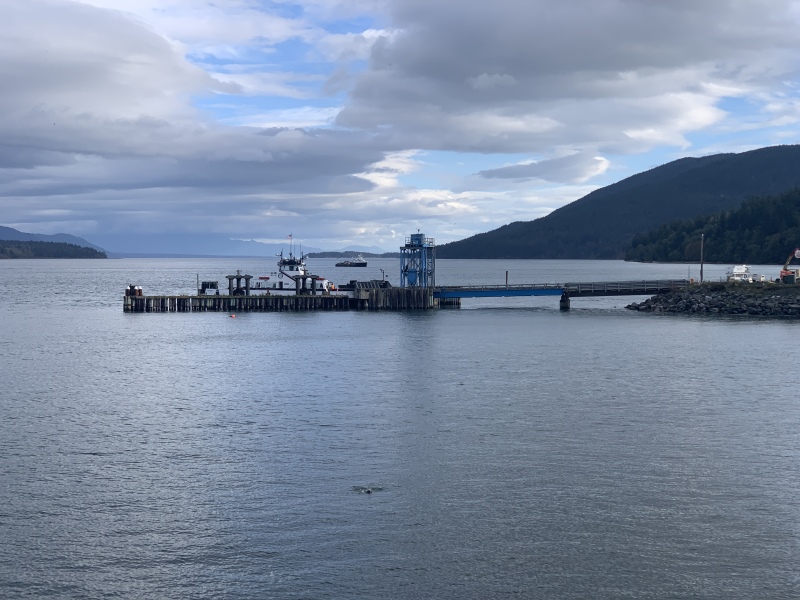 2020/10(October)/Lummi-Island-Kris-Bill-Sager-Washington-State/800x600_2020-10-10-Lummi-Island-WA-59.JPG