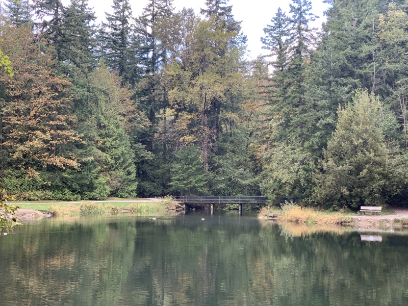 2020/10(October)/Lummi-Island-Kris-Bill-Sager-Washington-State/800x600_2020-10-12-Lummi-Island-WA-007-Whatcom-Falls-Park.JPG