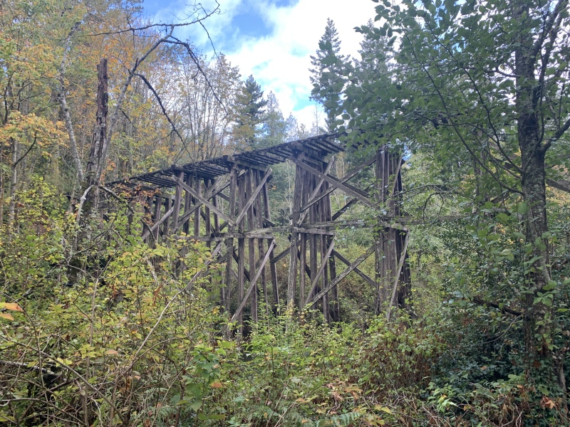 2020/10(October)/Lummi-Island-Kris-Bill-Sager-Washington-State/800x600_2020-10-12-Lummi-Island-WA-011-Whatcom-Falls-Park.JPG
