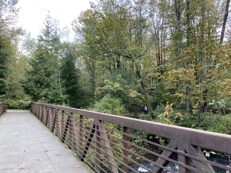 2020/10(October)/Lummi-Island-Kris-Bill-Sager-Washington-State/800x600_2020-10-12-Lummi-Island-WA-021-Whatcom-Falls-Park.JPG