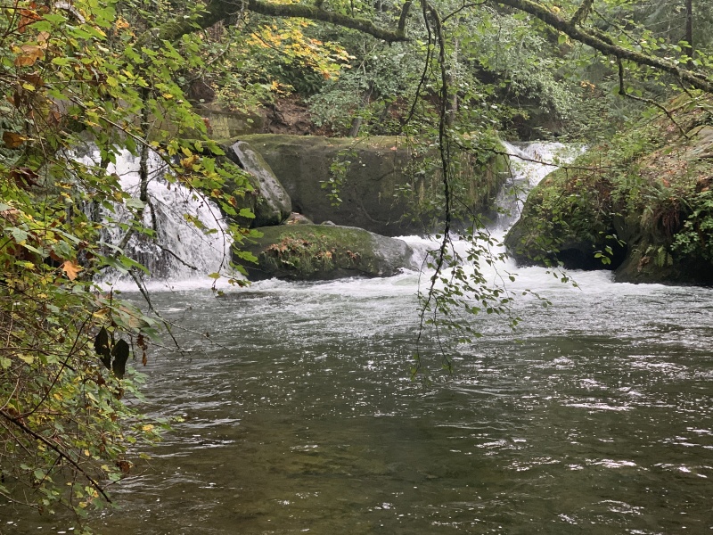 2020/10(October)/Lummi-Island-Kris-Bill-Sager-Washington-State/800x600_2020-10-12-Lummi-Island-WA-040-Whatcom-Falls-Park.JPG