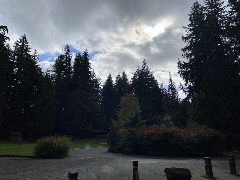 2020/10(October)/Lummi-Island-Kris-Bill-Sager-Washington-State/800x600_2020-10-12-Lummi-Island-WA-047-Whatcom-Falls-Park.JPG