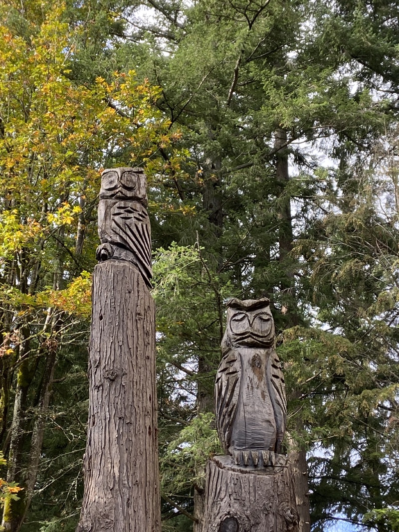 2020/10(October)/Lummi-Island-Kris-Bill-Sager-Washington-State/800x600_2020-10-12-Lummi-Island-WA-050-Whatcom-Falls-Park.JPG