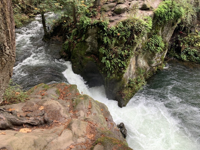 2020/10(October)/Lummi-Island-Kris-Bill-Sager-Washington-State/800x600_2020-10-12-Lummi-Island-WA-052-Whatcom-Falls-Park.JPG