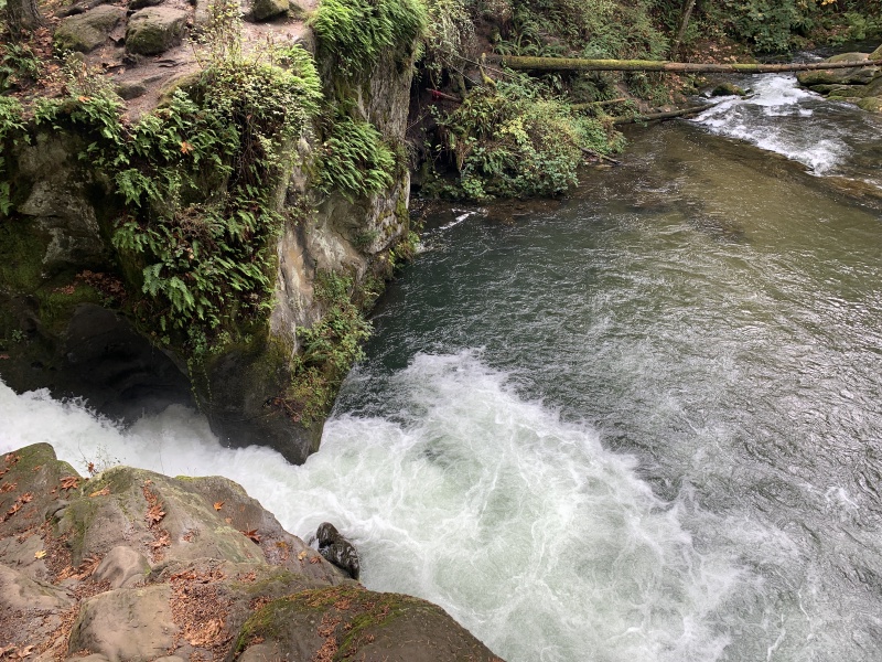 2020/10(October)/Lummi-Island-Kris-Bill-Sager-Washington-State/800x600_2020-10-12-Lummi-Island-WA-053-Whatcom-Falls-Park.JPG
