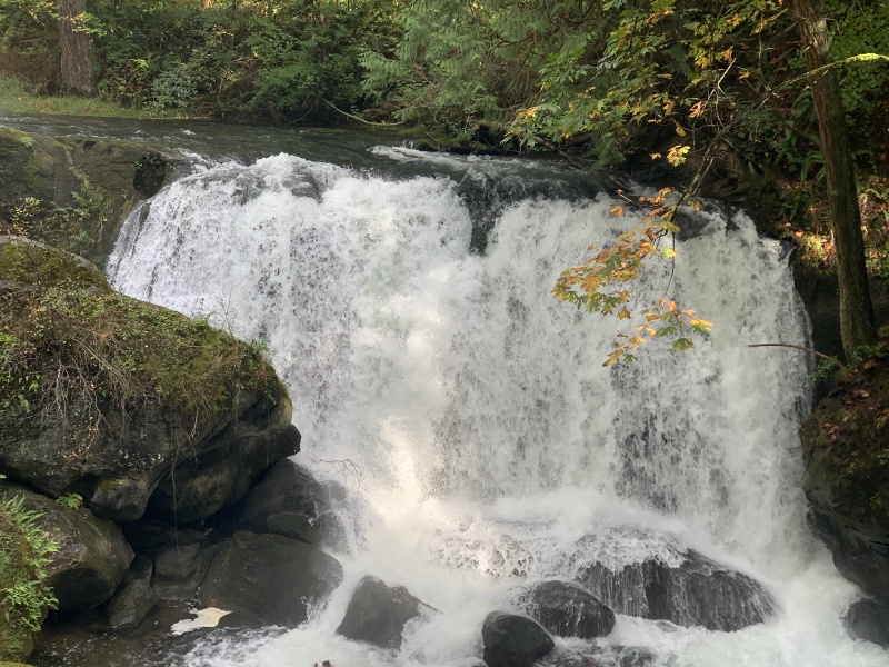 2020/10(October)/Lummi-Island-Kris-Bill-Sager-Washington-State/800x600_2020-10-12-Lummi-Island-WA-056-Whatcom-Falls-Park.JPG