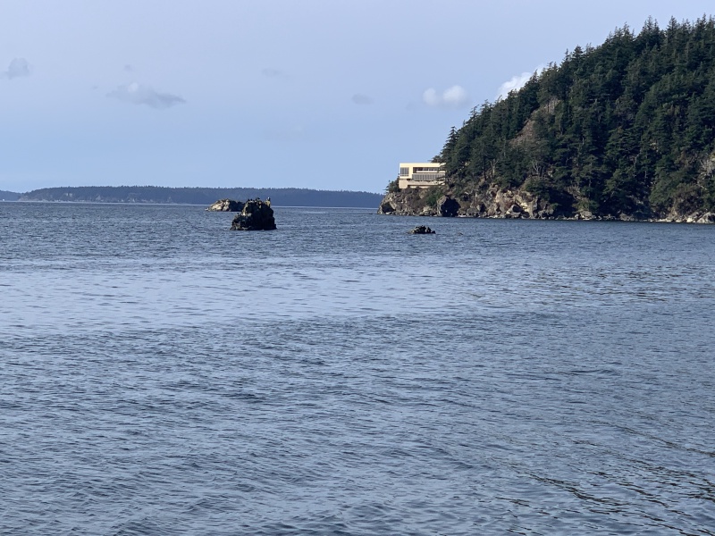 2020/10(October)/Lummi-Island-Kris-Bill-Sager-Washington-State/800x600_2020-10-12-Lummi-Island-WA-067-Larabee-State-Park.JPG