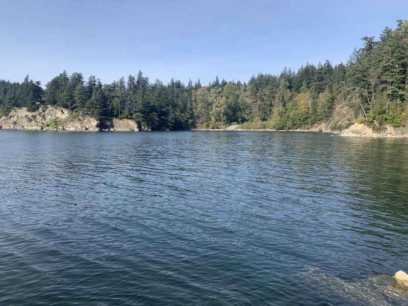 2020/10(October)/Lummi-Island-Kris-Bill-Sager-Washington-State/800x600_2020-10-12-Lummi-Island-WA-068-Larabee-State-Park.JPG