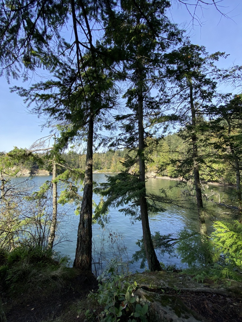 2020-10-12-Lummi-Island-WA-069-Larabee-State-Park.JPG