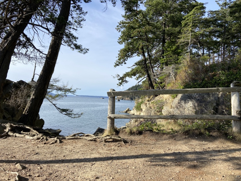 2020/10(October)/Lummi-Island-Kris-Bill-Sager-Washington-State/800x600_2020-10-12-Lummi-Island-WA-080-Larabee-State-Park.JPG