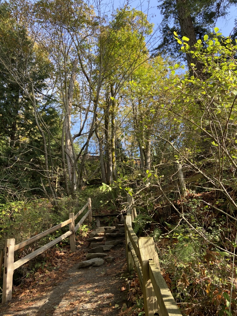 2020-10-12-Lummi-Island-WA-096-Larabee-State-Park.JPG