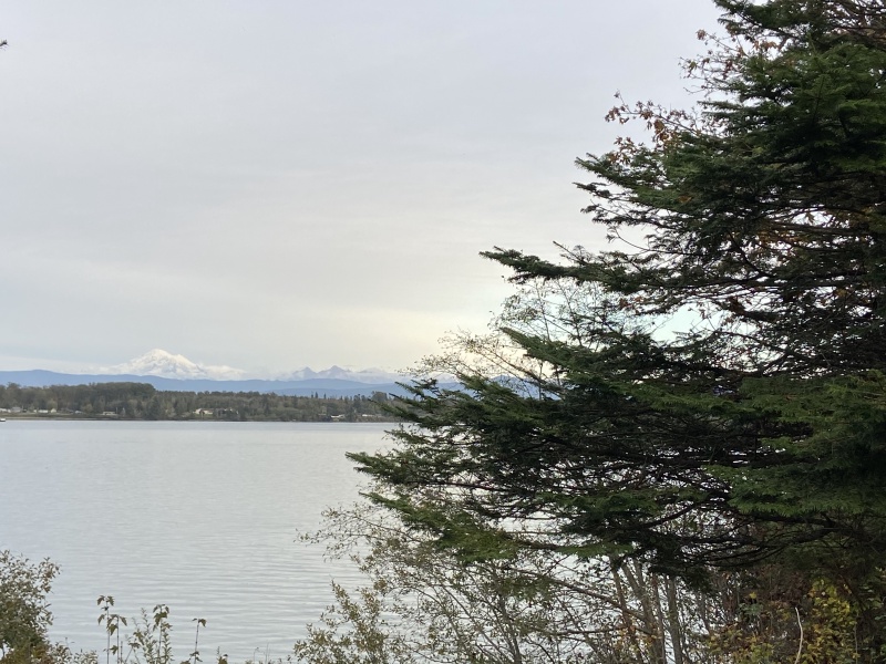 2020/10(October)/Lummi-Island-Kris-Bill-Sager-Washington-State/800x600_2020-10-12-Lummi-Island-WA-103-Larabee-State-Park.JPG