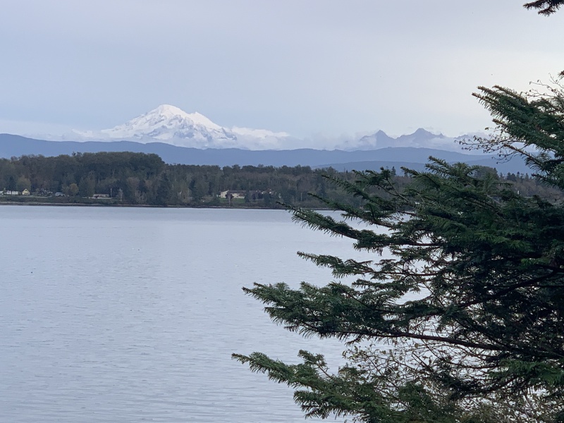 2020/10(October)/Lummi-Island-Kris-Bill-Sager-Washington-State/800x600_2020-10-12-Lummi-Island-WA-105-Larabee-State-Park.JPG