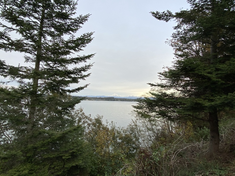 2020/10(October)/Lummi-Island-Kris-Bill-Sager-Washington-State/800x600_2020-10-12-Lummi-Island-WA-108.JPG