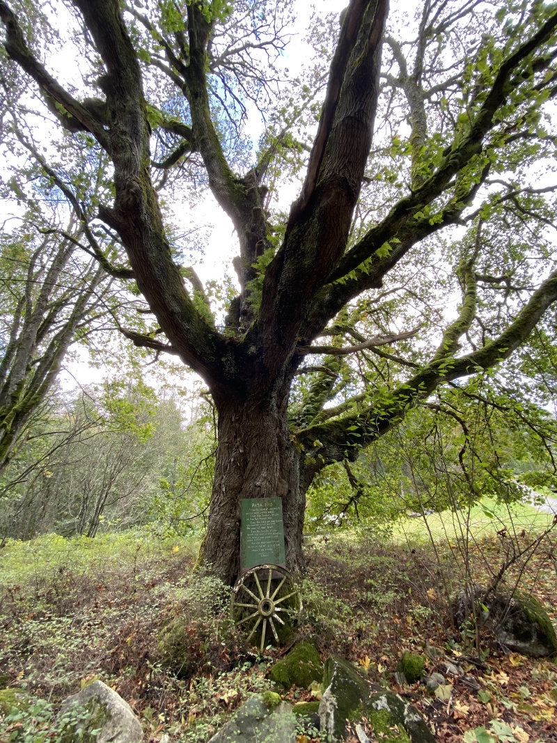 2020/10(October)/Lummi-Island-Kris-Bill-Sager-Washington-State/800x600_2020-10-13-Lummi-Island-WA-06.JPG