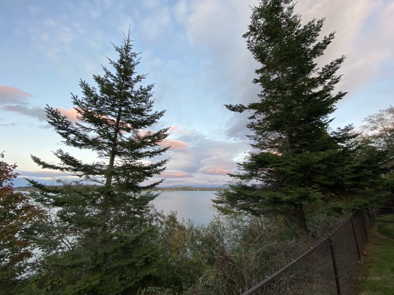2020/10(October)/Lummi-Island-Kris-Bill-Sager-Washington-State/800x600_2020-10-13-Lummi-Island-WA-15.JPG