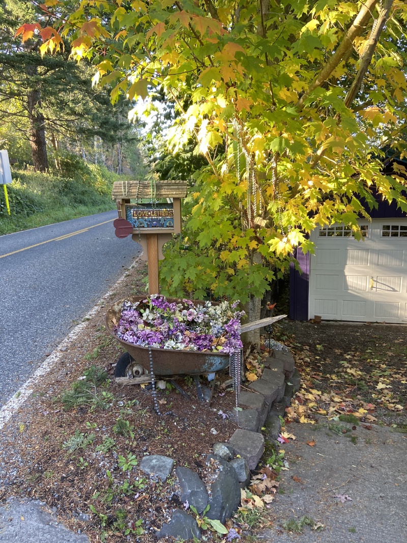 2020/10(October)/Lummi-Island-Kris-Bill-Sager-Washington-State/800x600_2020-10-14-Lummi-Island-WA-11.JPG