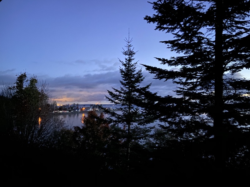 2020/10(October)/Lummi-Island-Kris-Bill-Sager-Washington-State/800x600_2020-10-15-Lummi-Island-WA-02.JPG