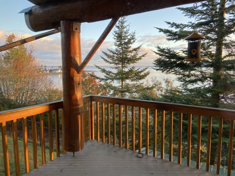2020/10(October)/Lummi-Island-Kris-Bill-Sager-Washington-State/800x600_2020-10-15-Lummi-Island-WA-04.JPG