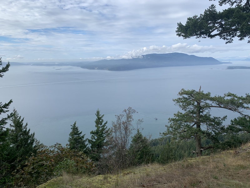 2020/10(October)/Lummi-Island-Kris-Bill-Sager-Washington-State/800x600_2020-10-15-Lummi-Island-WA-05.JPG