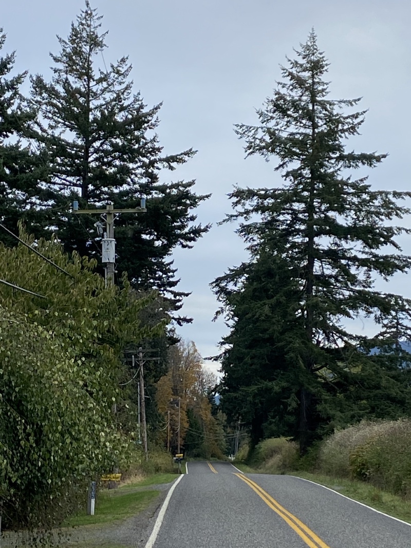 2020/10(October)/Lummi-Island-Kris-Bill-Sager-Washington-State/800x600_2020-10-15-Lummi-Island-WA-16.JPG