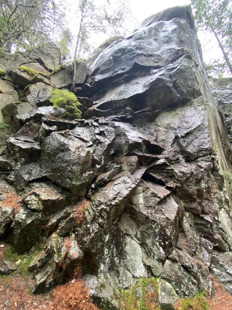 2020-10-16-Lummi-Island-WA-23-North-Cascades-National-Park.JPG