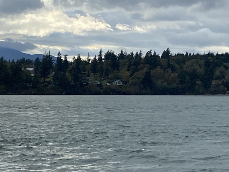 2020/10(October)/Lummi-Island-Kris-Bill-Sager-Washington-State/800x600_2020-10-16-Lummi-Island-WA-42.JPG