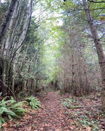 2020-10-10-Lummi-Island-WA-09.JPG