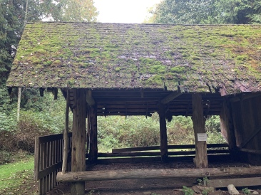 2020-10-10-Lummi-Island-WA-45.JPG