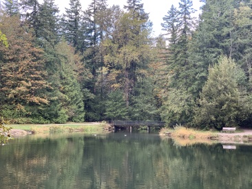 2020-10-12-Lummi-Island-WA-007-Whatcom-Falls-Park.JPG