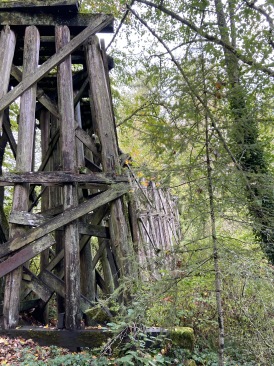2020-10-12-Lummi-Island-WA-016-Whatcom-Falls-Park.JPG