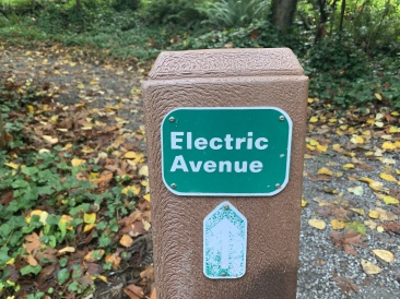 2020-10-12-Lummi-Island-WA-018-Whatcom-Falls-Park.JPG