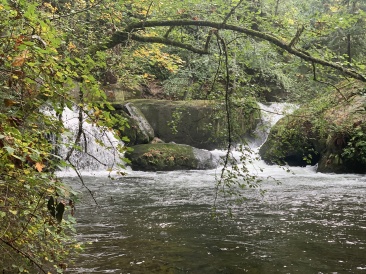 2020-10-12-Lummi-Island-WA-039-Whatcom-Falls-Park.JPG