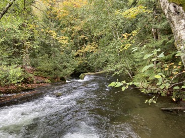 2020-10-12-Lummi-Island-WA-045-Whatcom-Falls-Park.JPG