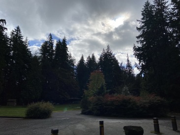 2020-10-12-Lummi-Island-WA-047-Whatcom-Falls-Park.JPG