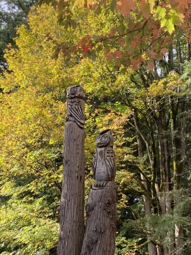 2020-10-12-Lummi-Island-WA-051-Whatcom-Falls-Park.JPG