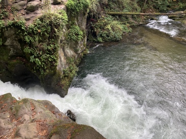 2020-10-12-Lummi-Island-WA-053-Whatcom-Falls-Park.JPG