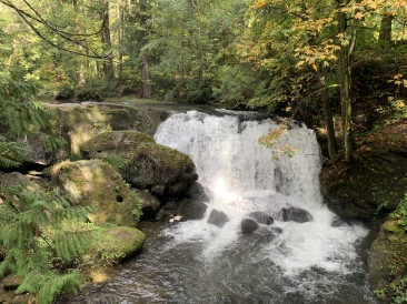 2020-10-12-Lummi-Island-WA-055-Whatcom-Falls-Park.JPG