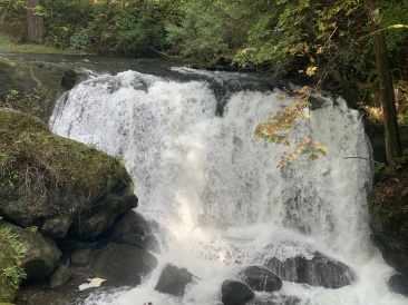 2020-10-12-Lummi-Island-WA-056-Whatcom-Falls-Park.JPG