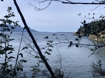2020-10-12-Lummi-Island-WA-065-Larabee-State-Park.JPG